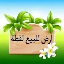 للبيع